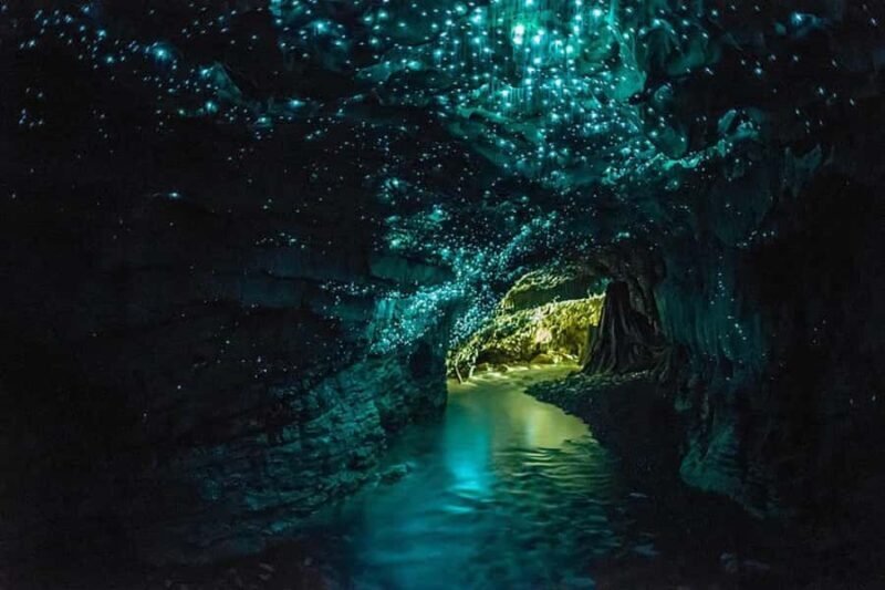 From Auckland: Day Trip to Waitomo Glow Worm Caves - Final Thoughts