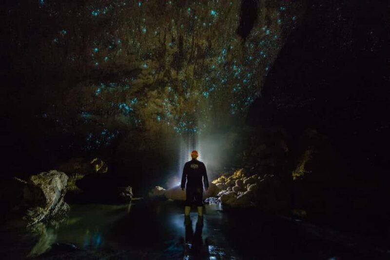 From Auckland: Day Trip to Waitomo Glow Worm Caves - FAQs