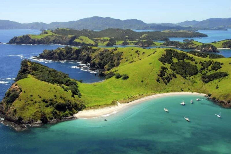 From Auckland: Full Day Private Tour to the Bay of Islands - Price and Value