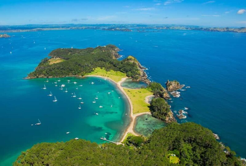 From Auckland: Full-Day Tour to the Bay of Islands - Key Points