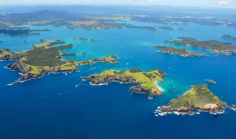 From Auckland: Full-Day Tour to the Bay of Islands - Authentic Experiences and What Travelers Say
