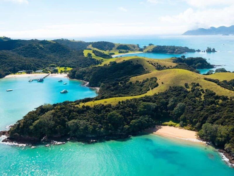 From Auckland: Full-Day Tour to the Bay of Islands - The Sum Up