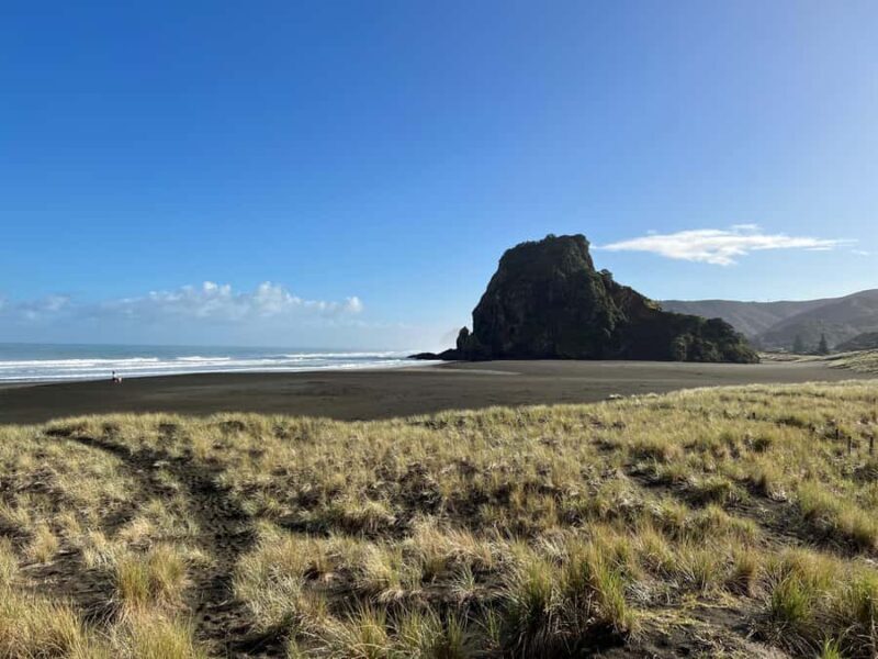 From Auckland: Guided Tour of Piha with Scenic Beach Walks - Key Points