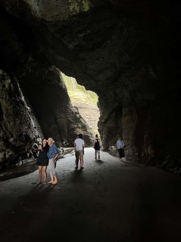 From Auckland: Guided Tour of Piha with Scenic Beach Walks - An Honest Look at the Piha Guided Tour