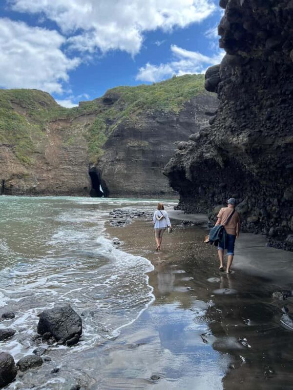 From Auckland: Guided Tour of Piha with Scenic Beach Walks - What Travelers Say