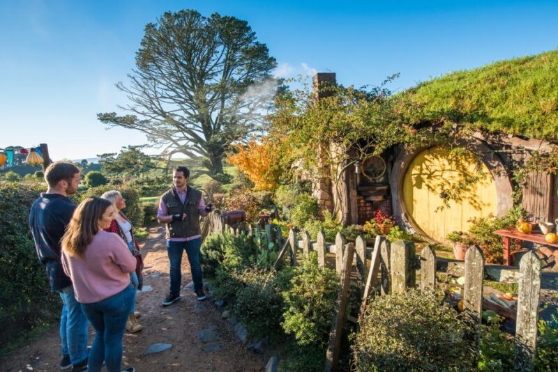 From Auckland: Hobbiton and Waitomo Day Tour with Lunch - Key Points