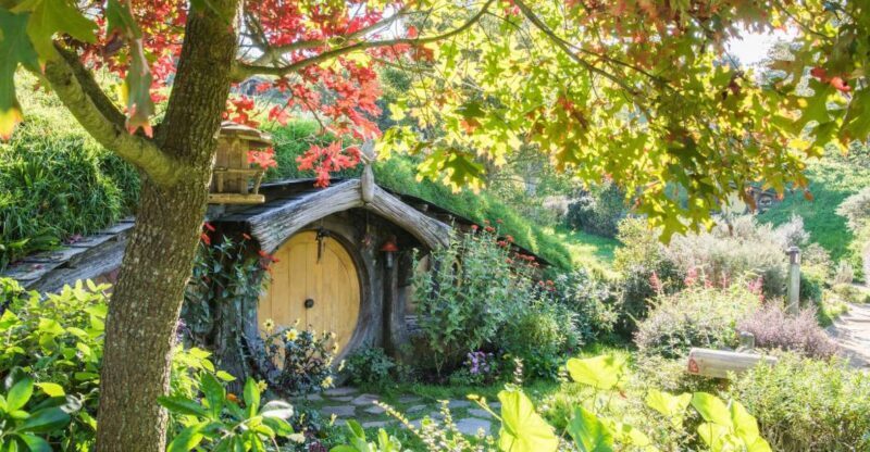 From Auckland: Hobbiton and Waitomo Day Tour with Lunch - The Itinerary in Detail