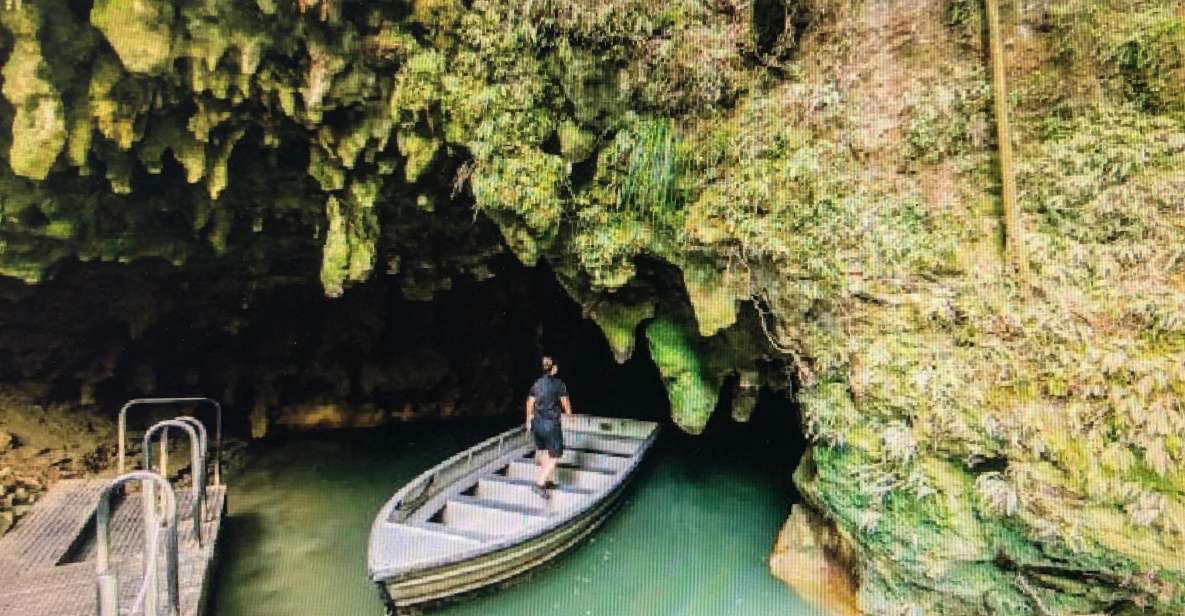 From Auckland: Hobbiton and Waitomo Day Tour With Lunch - Highlights