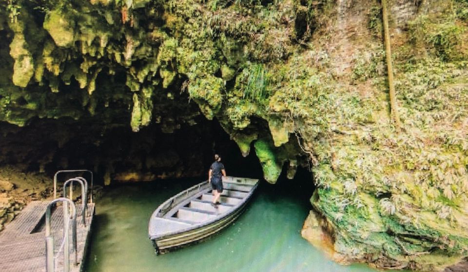 From Auckland: Hobbiton and Waitomo Day Tour With Lunch - Customer Reviews