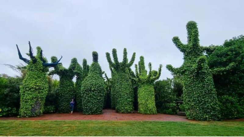 From Auckland: Hobbiton & Hamilton Gardens Small Group Tour - Exploring the Day: What You Can Expect