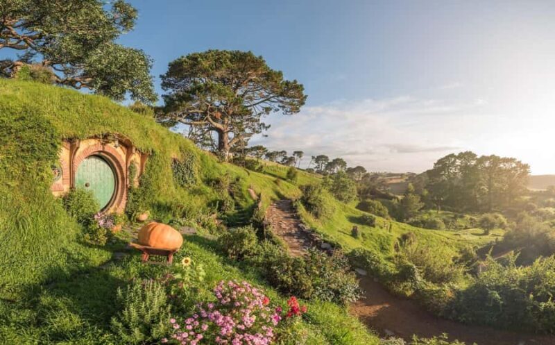 From Auckland: Hobbiton Movie Set Day Tour with Picnic Lunch - About the Price and Value