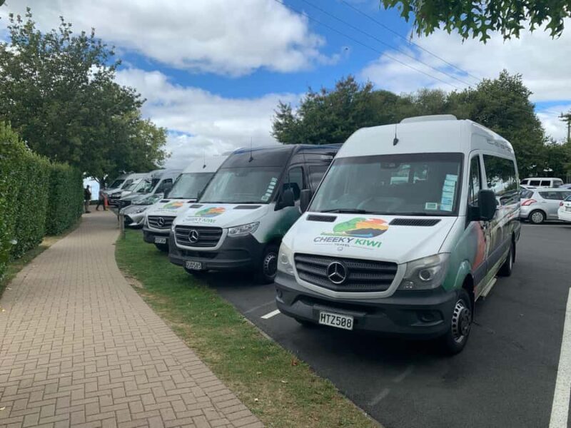 From Auckland: Hobbiton Movie Set Small Group Tour - Who Will Love This Tour?