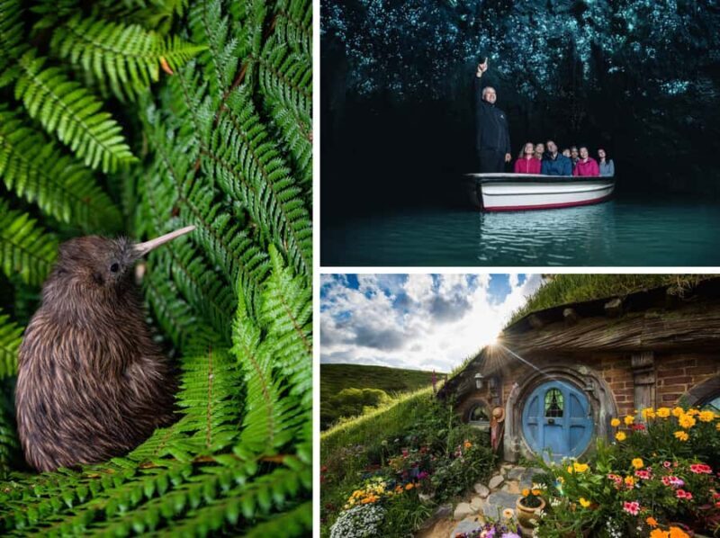From Auckland: Hobbiton, Waitomo Caves & Kiwi House Tour - Hobbiton: Enter Middle-earth