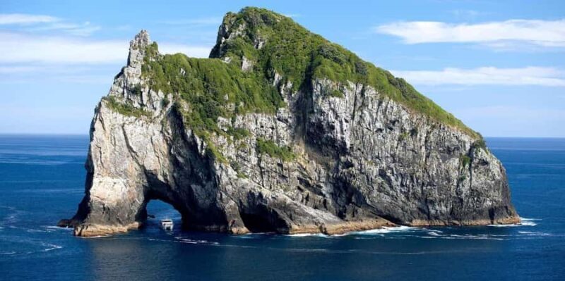 From Auckland: Hole in the rock cruise tour - Final Thoughts