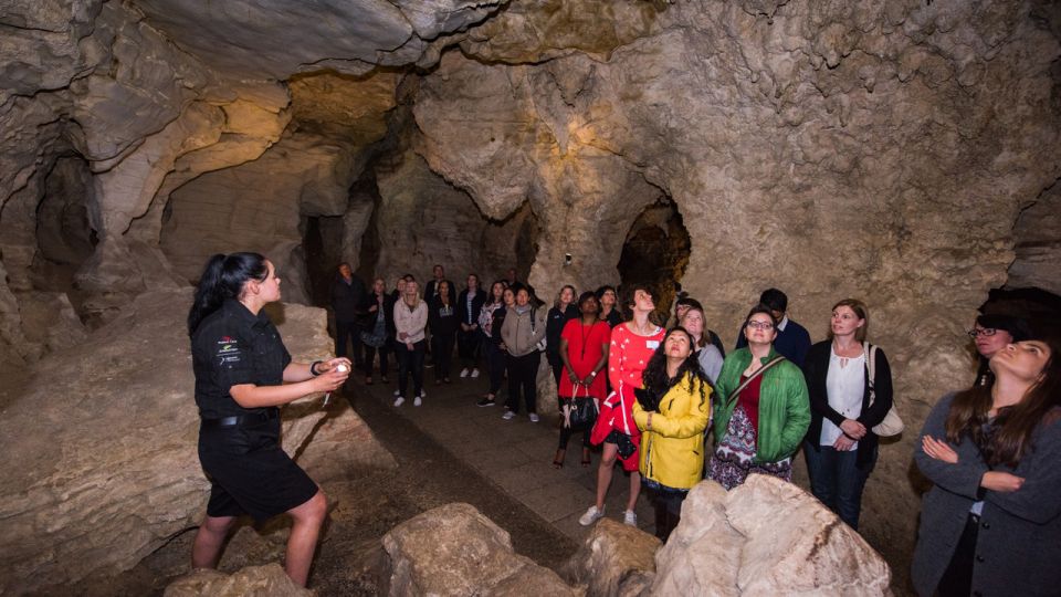 From Auckland: One-Way Trip to Rotorua With Waitomo Caves - Safety Information