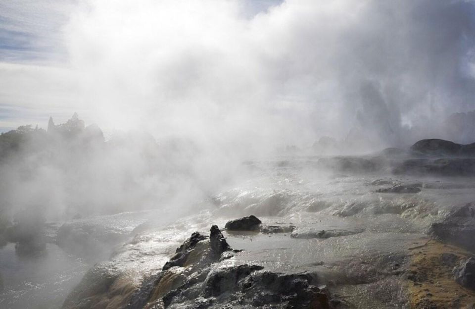 From Auckland: Rotorua Maori Village & Polynesian Spa Tour - Key Points