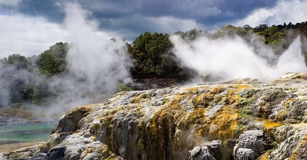 From Auckland: Rotorua Maori Village & Polynesian Spa Tour - Itinerary Highlights