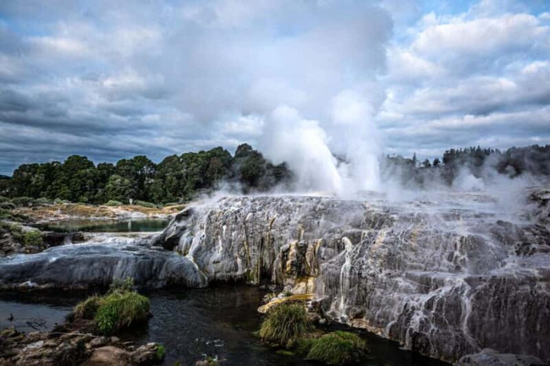 From Auckland: Rotorua Te Puia, Haka & Polynesian Spa Tour - The Experience: A Deep Dive into Rotoruas Wonders
