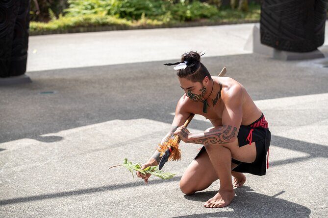 From Auckland : Rotorua Tepuia Tour with Haka and Hangi Lunch - Final Thoughts