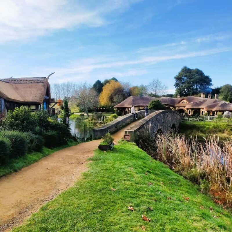 From: Auckland: Rotorua via Hobbiton Tour One Way Tour - Why This Tour Offers Good Value