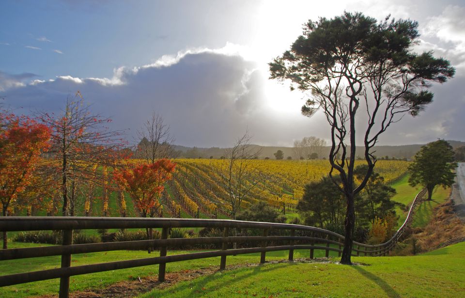 From Auckland: Small Group Kumeu Wine Tour With Lunch - Lunch Experience