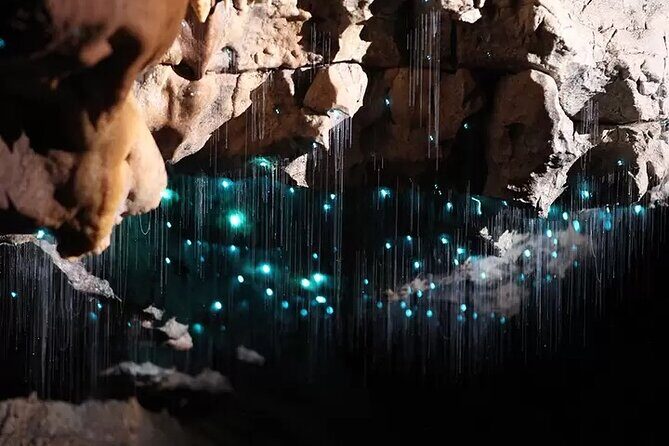 From Auckland: Spellbound, Waitomo Glowworm Cave Small Group Tour - Authenticity and Comfort