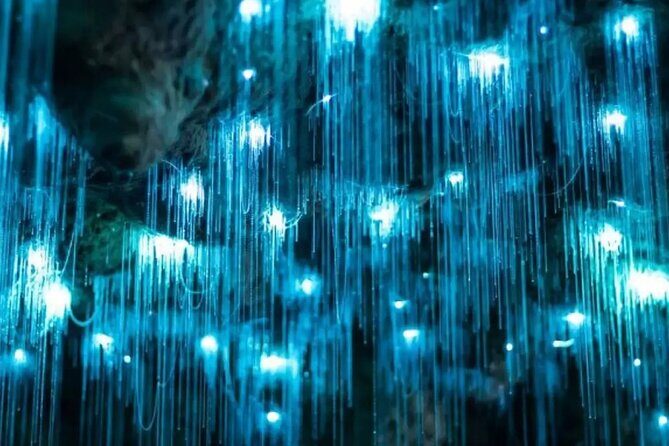 From Auckland: Spellbound, Waitomo Glowworm Cave Small Group Tour - FAQs