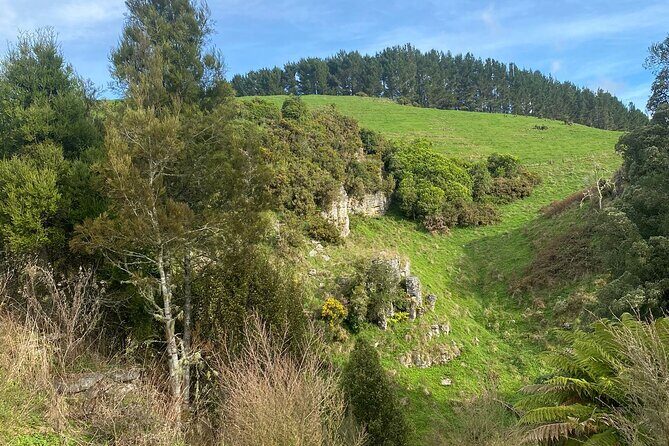 From Auckland: Spellbound, Waitomo Glowworm Cave Small Group Tour - To sum it up