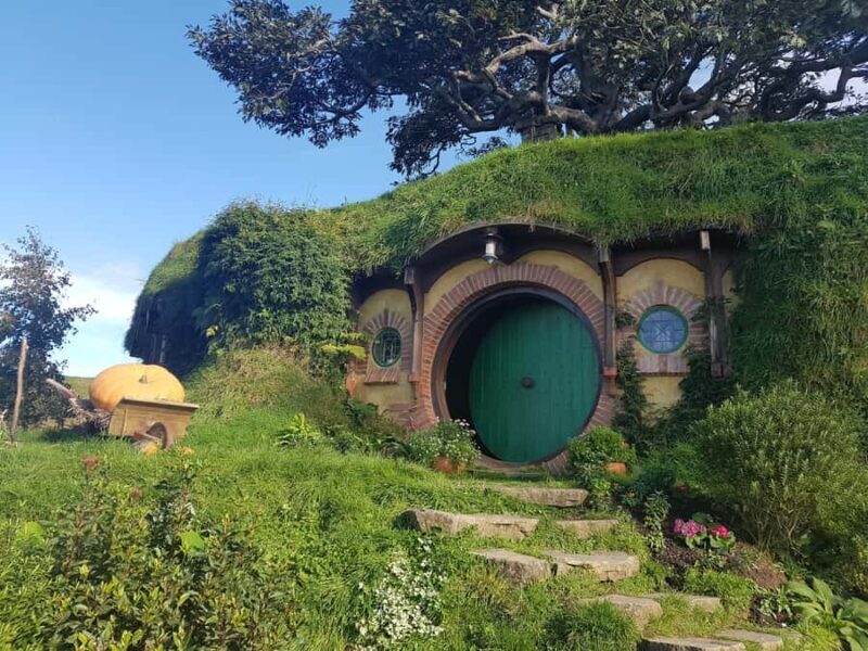 From Auckland: Two-Day Hobbiton, Rotorua, Waitomo Caves Tour - Who Is This Tour Best For?