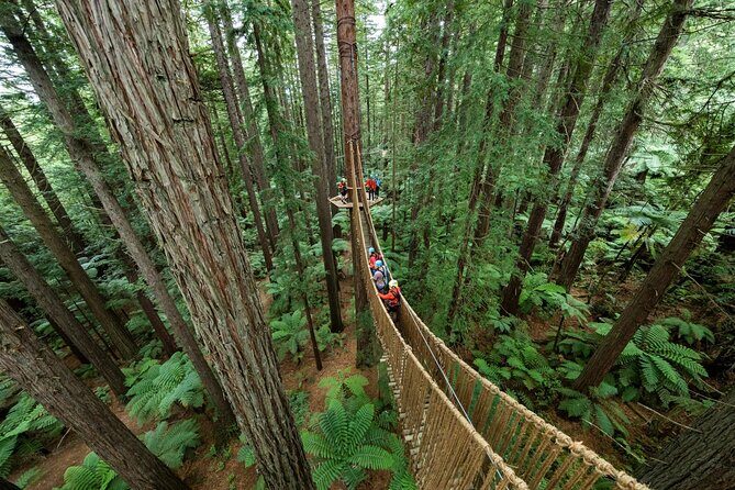 From Auckland Wai Ariki and Rotorua Redwoods Small Group Tour - Who Should Consider This Tour?