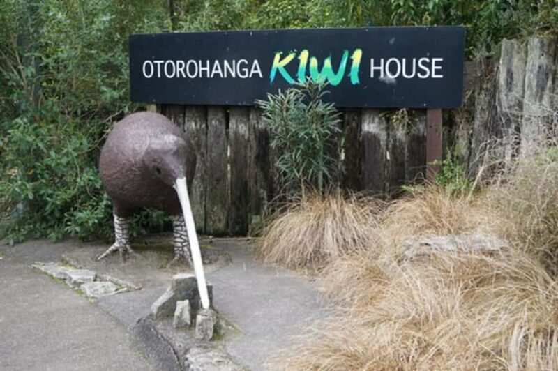 From Auckland: Waitomo Caves and Kiwi House Group Tour - The Value for Money