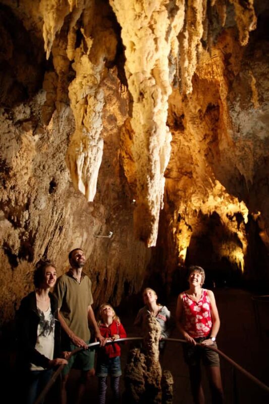 From Auckland: Waitomo Caves and Kiwi House Group Tour - Who Will Love This Tour?