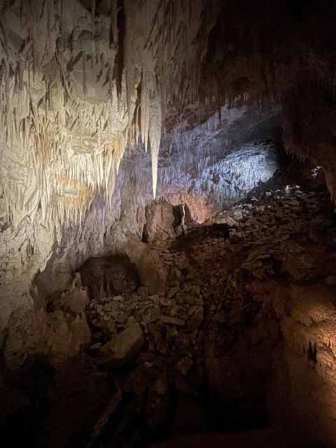 From Auckland: Waitomo Caves and Kiwi House Group Tour - Key Points