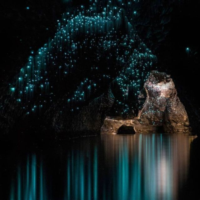 From Auckland: Waitomo Caves and Kiwi House Group Tour - Duration and Group Size