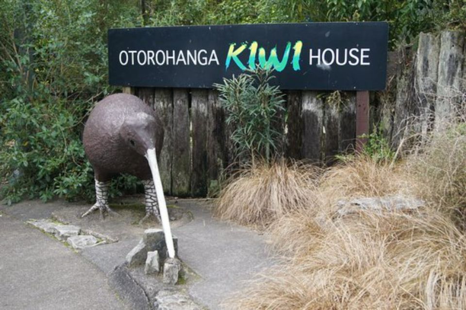 From Auckland: Waitomo Caves and Kiwi House Group Tour - Pickup and Itinerary