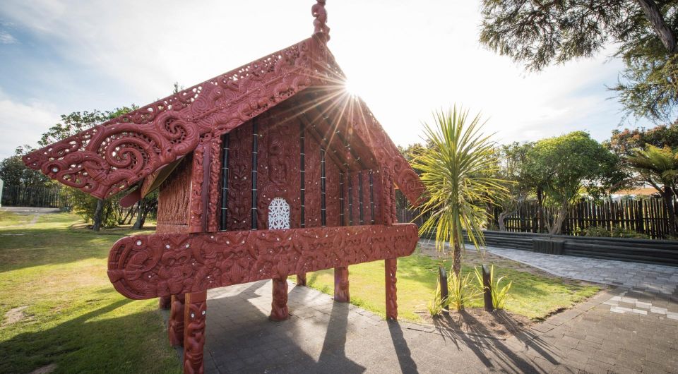 From Auckland : Waitomo Caves and Rotorua With Te Puia - Traveler Feedback and Recommendations