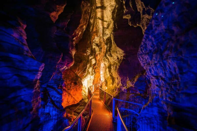 From Auckland: Waitomo Glowworm and Ruakuri Caves Day Tour - An In-Depth Look at the Experience