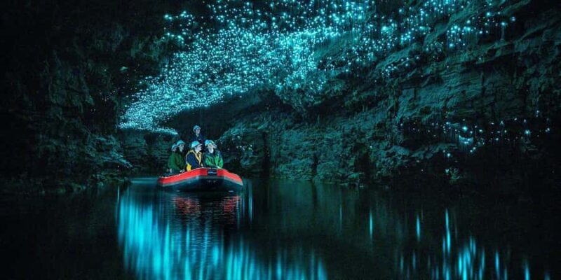 From Auckland: Waitomo Glowworm Cave Tour - Key Points