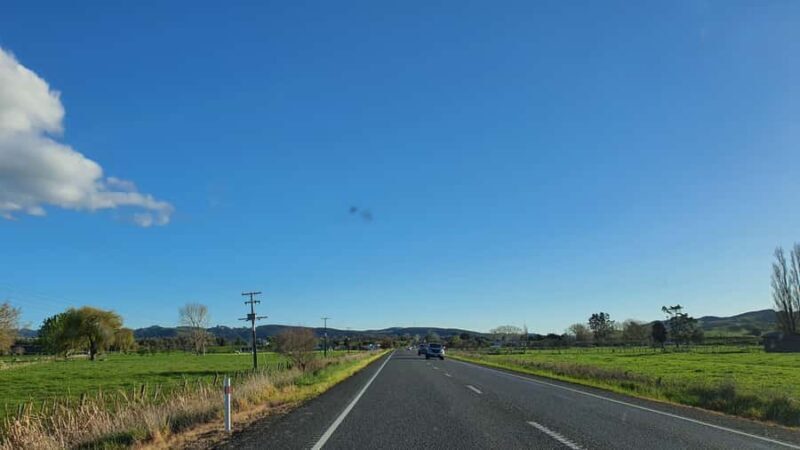 From Auckland: Waitomo Glowworm Cave Tour - Starting from Auckland: A Convenient Departure