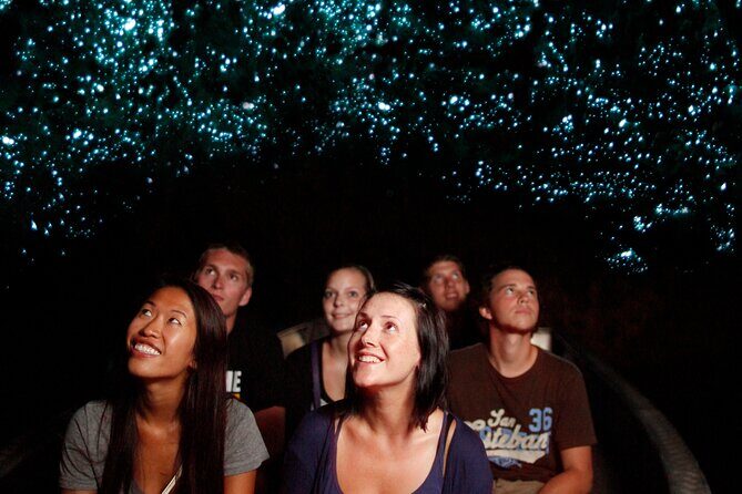 From Auckland:Hobbiton Movie Set & Waitomo Caves Small Group Tour - Final Thoughts