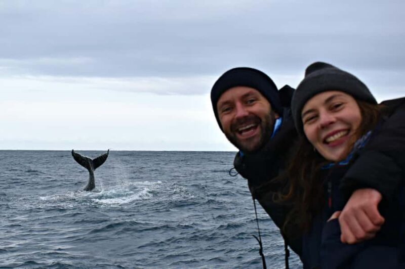 From Augusta: Whale Watching Award Winning Tour - Key Points