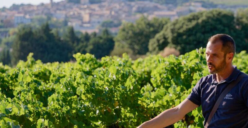 From Avignon: Châteauneuf Du Pape Half-Day Wine Tour - Itinerary and Highlights