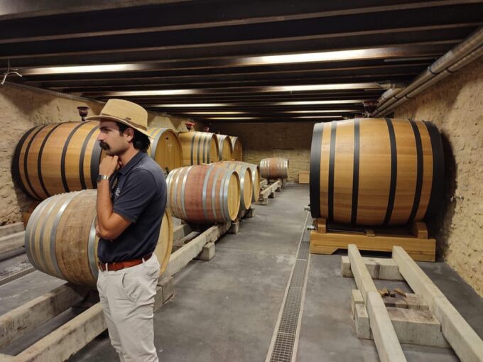 From Avignon: Châteauneuf Du Pape Half-Day Wine Tour - Discovering the Complex Red and Elegant White Wines
