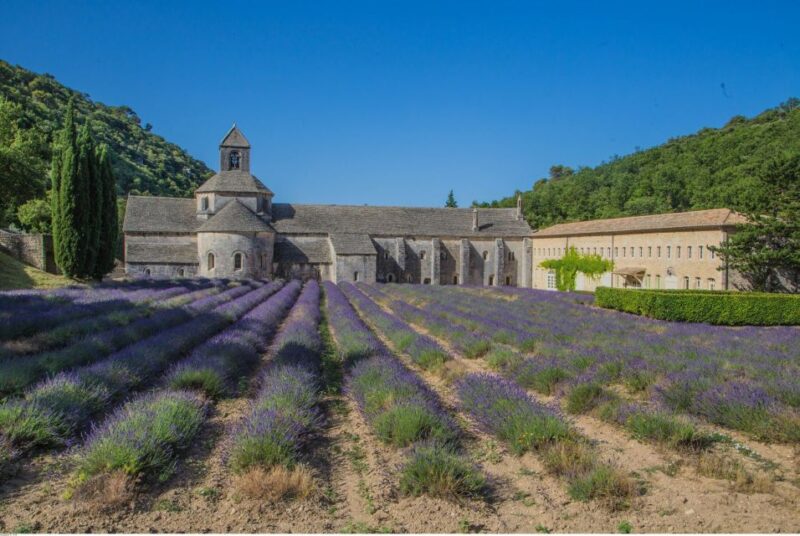 From Avignon: Half-Day Baux De Provence and Luberon Tour - Meeting Point and Requirements
