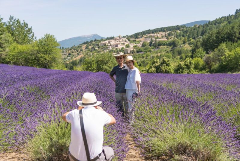 From Avignon: Half-Day Lavender Tour of Luberon - Itinerary Highlights