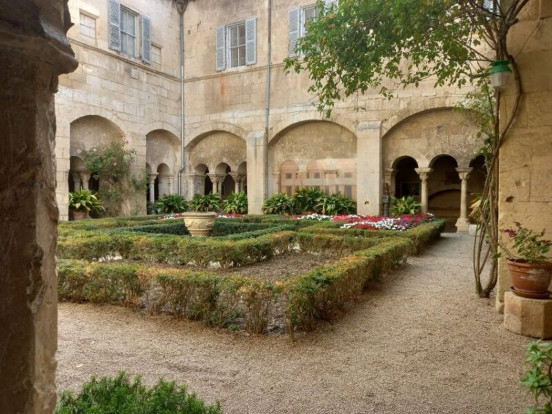 From Avignon: In the Footsteps of Van Gogh in Provence - Customer Experiences