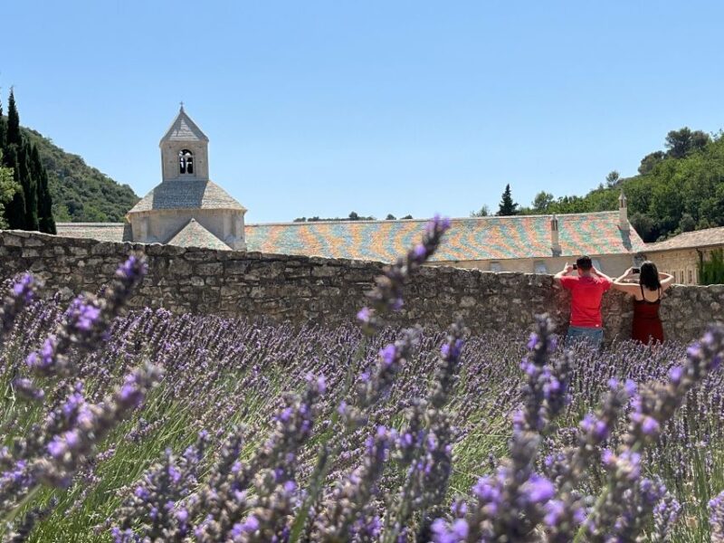 From Avignon: Lavender Tour Around Valensole or Sault - Languages and Pricing