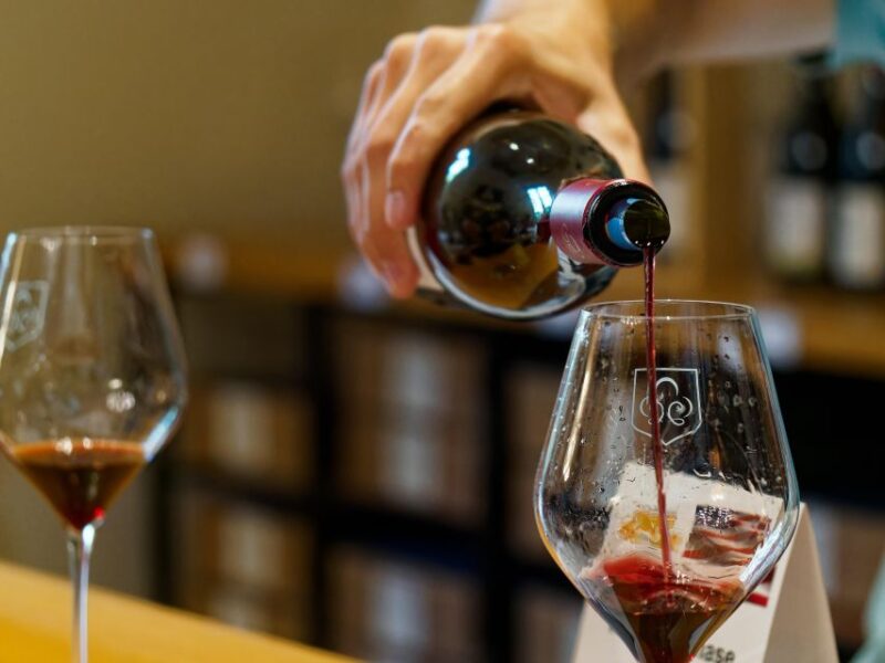 From Avignon: Luberon and Chateauneuf-du-Pape Full-Day Tour - Key Points