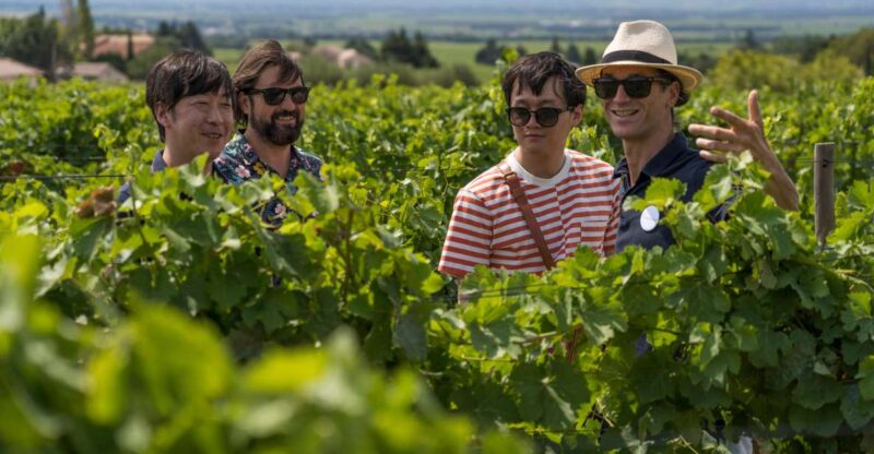 From Avignon: Luberon and Chateauneuf-du-Pape Full-Day Tour - Highlights of the Itinerary