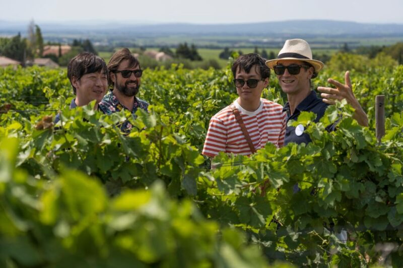 From Avignon: Luberon and Chateauneuf-du-Pape Full-Day Tour - Roussillon: Ochre Cliffs and Unique Landscapes